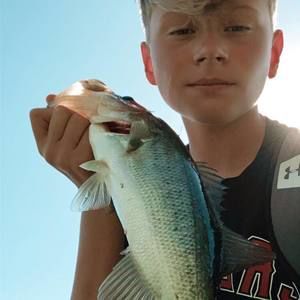 Meet your Posher, Grayson